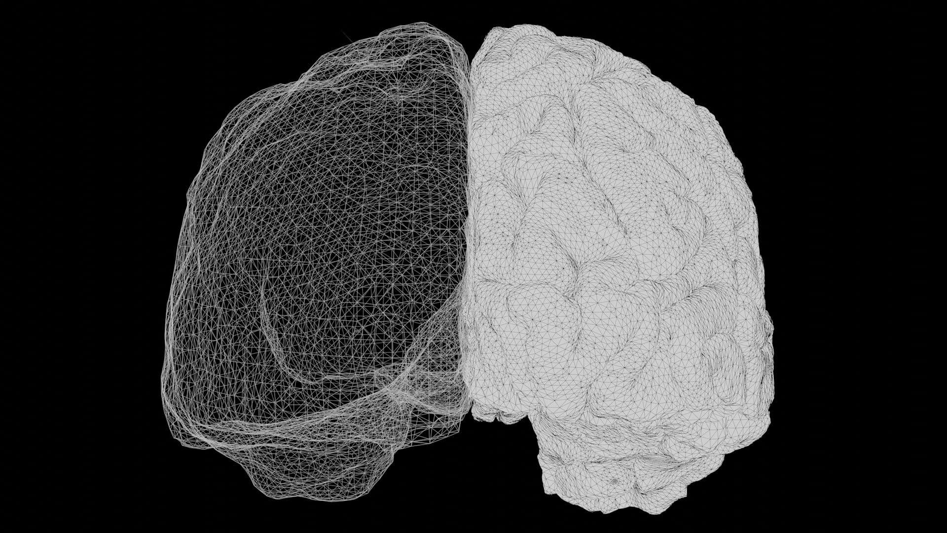 A black and white brain